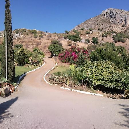 Finca Santa Matilde Málaga Eksteriør billede