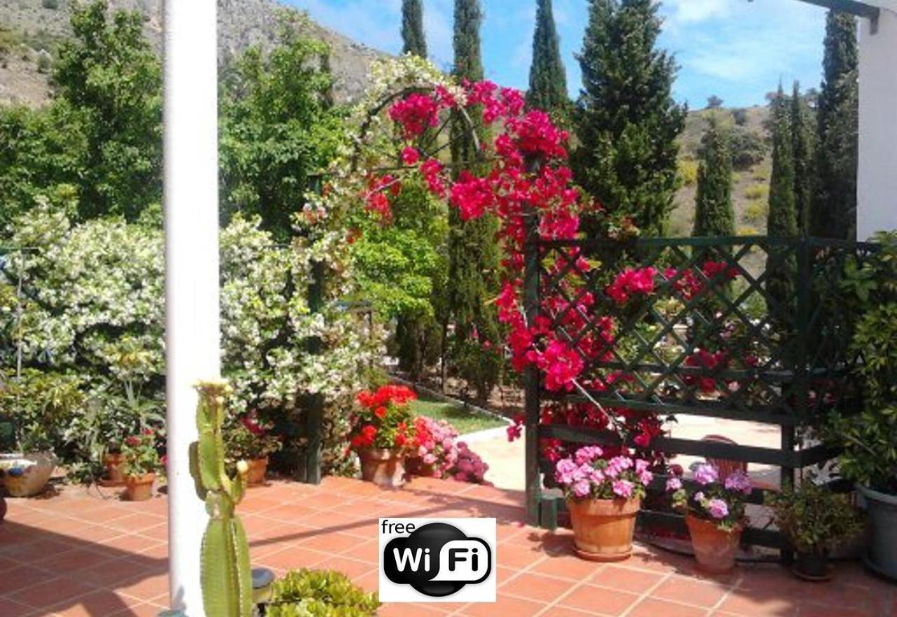 Finca Santa Matilde Málaga Eksteriør billede