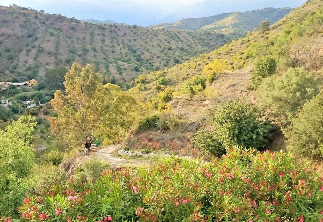 Finca Santa Matilde Málaga Eksteriør billede