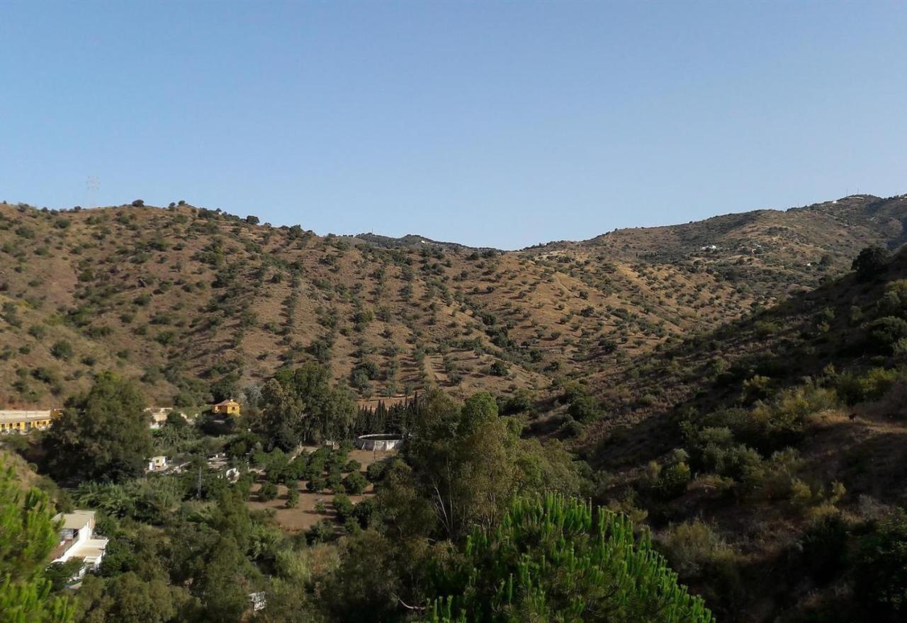 Finca Santa Matilde Málaga Eksteriør billede