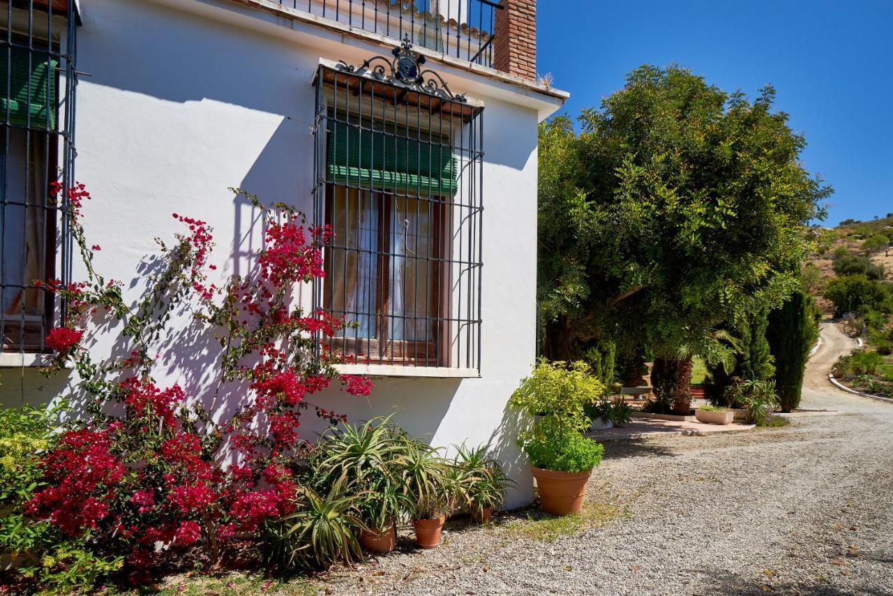 Finca Santa Matilde Málaga Eksteriør billede