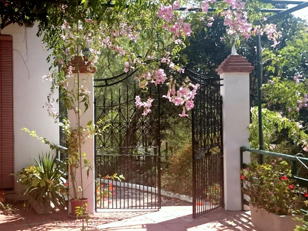 Finca Santa Matilde Málaga Eksteriør billede