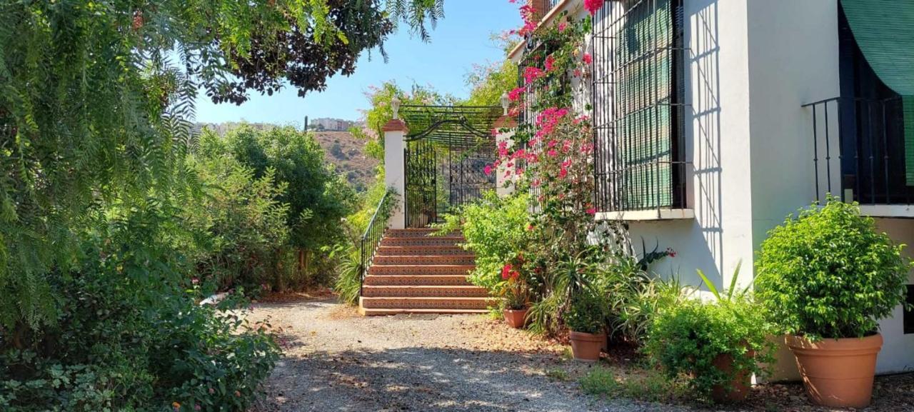 Finca Santa Matilde Málaga Eksteriør billede
