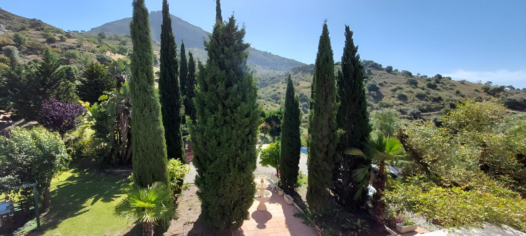 Finca Santa Matilde Málaga Eksteriør billede
